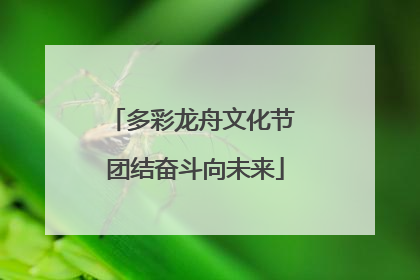 多彩龙舟文化节 团结奋斗向未来
