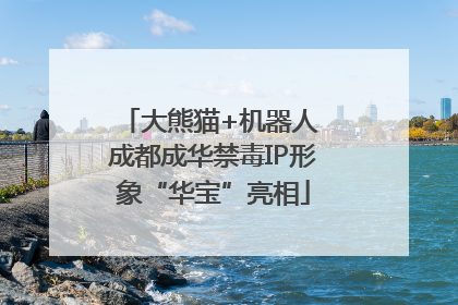 大熊猫+机器人 成都成华禁毒IP形象“华宝”亮相