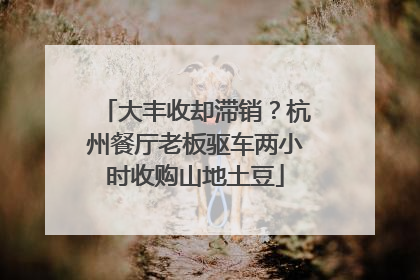 大丰收却滞销？杭州餐厅老板驱车两小时收购山地土豆