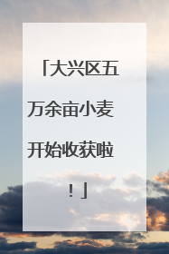 大兴区五万余亩小麦开始收获啦！