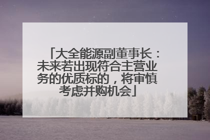 大全能源副董事长：未来若出现符合主营业务的优质标的，将审慎考虑并购机会