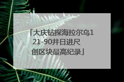 大庆钻探海拉尔乌121-90井日进尺 创区块最高纪录