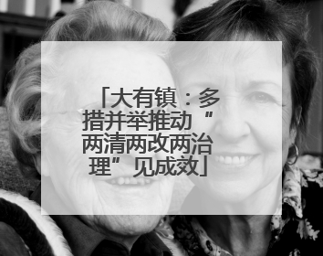 大有镇：多措并举推动“两清两改两治理”见成效