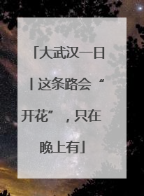 大武汉一日丨这条路会“开花”，只在晚上有