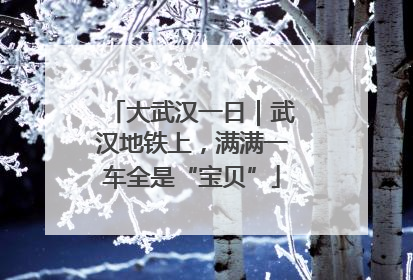 大武汉一日｜武汉地铁上，满满一车全是“宝贝”
