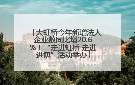 大虹桥今年新增法人企业数同比增20.6%！“走进虹桥 走进进博”活动举办