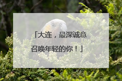 大连，最深诚意召唤年轻的你！