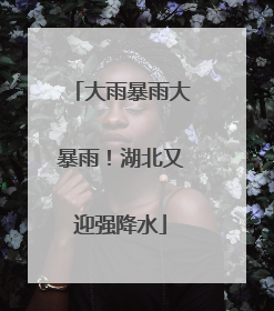 大雨暴雨大暴雨！湖北又迎强降水