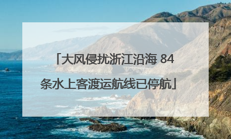 大风侵扰浙江沿海 84条水上客渡运航线已停航
