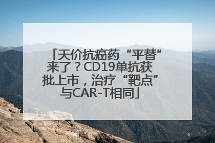 天价抗癌药“平替”来了？CD19单抗获批上市，治疗“靶点”与CAR-T相同