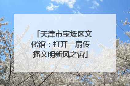 天津市宝坻区文化馆：打开一扇传播文明新风之窗