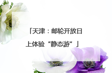 天津：邮轮开放日上体验“静态游”