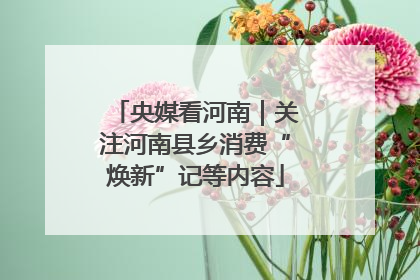 央媒看河南｜关注河南县乡消费“焕新”记等内容