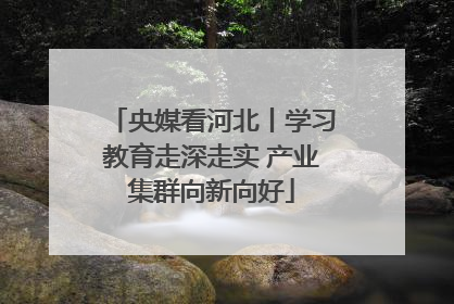 央媒看河北丨学习教育走深走实 产业集群向新向好
