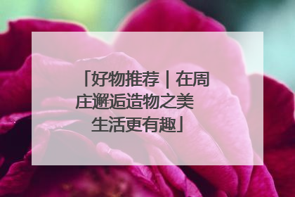 好物推荐｜在周庄邂逅造物之美 生活更有趣