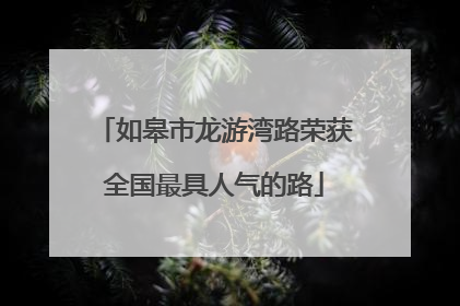 如皋市龙游湾路荣获全国最具人气的路