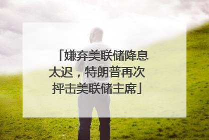 嫌弃美联储降息太迟，特朗普再次抨击美联储主席