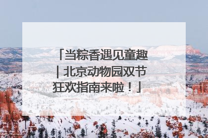 当粽香遇见童趣｜北京动物园双节狂欢指南来啦！