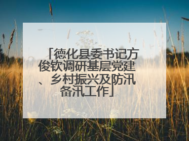 德化县委书记方俊钦调研基层党建、乡村振兴及防汛备汛工作