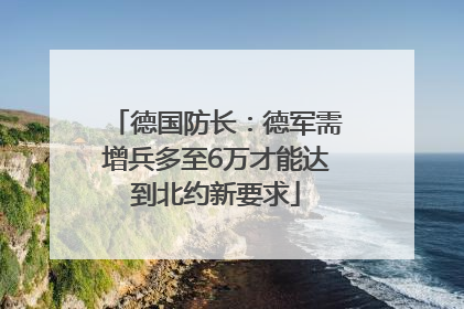 德国防长：德军需增兵多至6万才能达到北约新要求