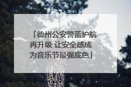 德州公安警蓝护航再升级 让安全感成为音乐节最强底色