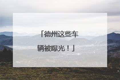 德州这些车辆被曝光！