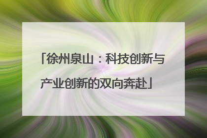 徐州泉山：科技创新与产业创新的双向奔赴