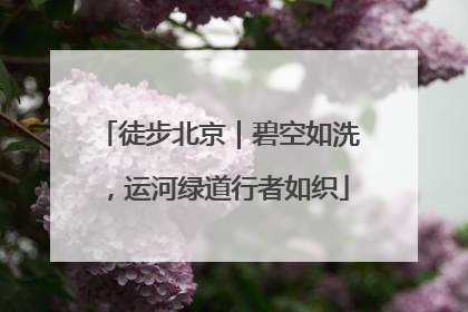 徒步北京｜碧空如洗，运河绿道行者如织