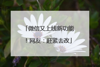 微信又上线新功能！网友：赶紧去改