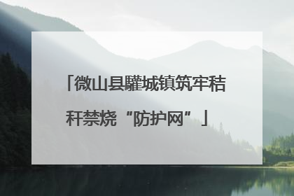 微山县驩城镇筑牢秸秆禁烧“防护网”
