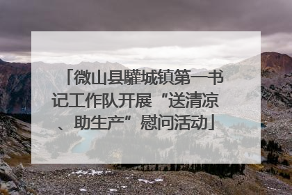 微山县驩城镇第一书记工作队开展“送清凉、助生产”慰问活动