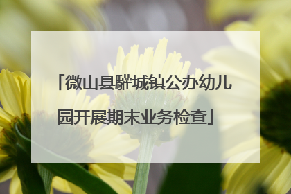 微山县驩城镇公办幼儿园开展期末业务检查