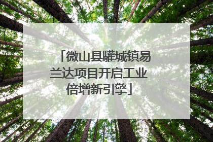 微山县驩城镇易兰达项目开启工业倍增新引擎