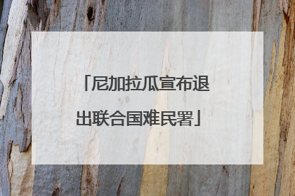 尼加拉瓜宣布退出联合国难民署