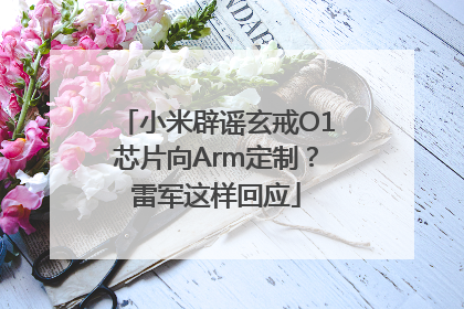 小米辟谣玄戒O1芯片向Arm定制？雷军这样回应