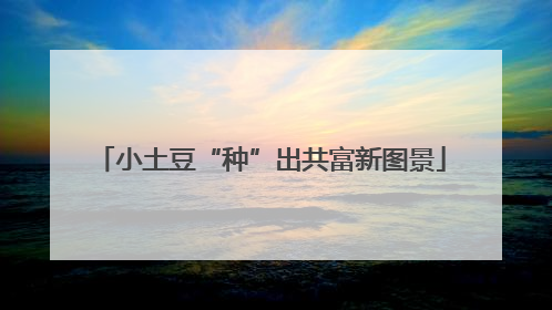 小土豆“种”出共富新图景