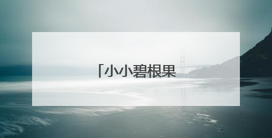 小小碧根果撬动大产业