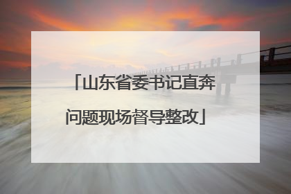 山东省委书记直奔问题现场督导整改