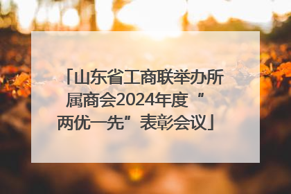 山东省工商联举办所属商会2024年度“两优一先”表彰会议