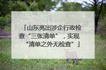 山东亮出涉企行政检查“三张清单”，实现“清单之外无检查”