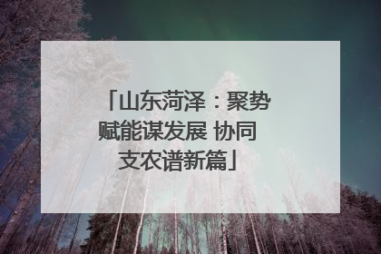 山东菏泽：聚势赋能谋发展 协同支农谱新篇