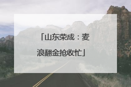 山东荣成：麦浪翻金抢收忙