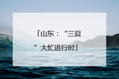 山东：“三夏”大忙进行时