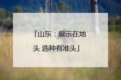 山东：展示在地头 选种有准头