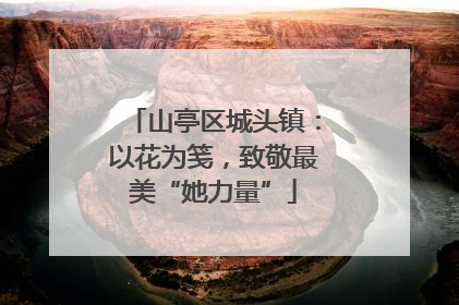 山亭区城头镇：以花为笺，致敬最美“她力量”