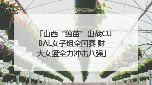 山西“独苗”出战CUBAL女子组全国赛 财大女篮全力冲击八强