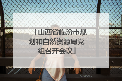 山西省临汾市规划和自然资源局党组召开会议