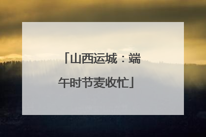 山西运城：端午时节麦收忙
