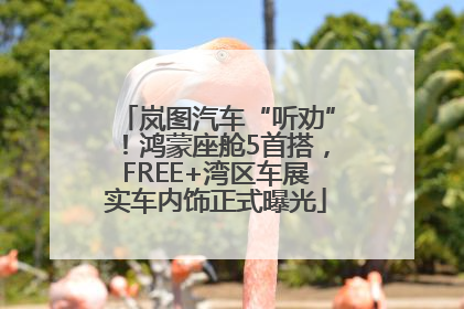 岚图汽车“听劝”！鸿蒙座舱5首搭，FREE+湾区车展实车内饰正式曝光