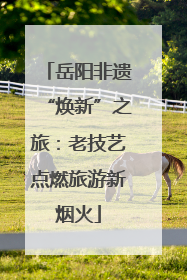 岳阳非遗“焕新”之旅：老技艺点燃旅游新烟火